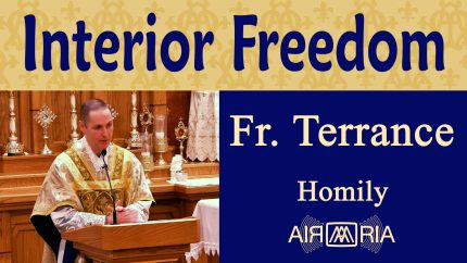 FS 110 – The Fruits, Part 1 – Feb 19 – Homily – Fr Terrance FS 110 – The Fruits, Part 1 – Feb 19 – Homily – Fr Terrance