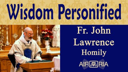 The Book of Sirach and Christ as Wisdom – Feb 24 – Homily – Fr John Lawrence The Book of Sirach and Christ as Wisdom – Feb 24 – Homily – Fr John Lawrence