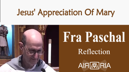 Appreciation Of Mary – June 9 – Reflection – Fra Paschal Appreciation Of Mary – June 9 – Reflection – Fra Paschal