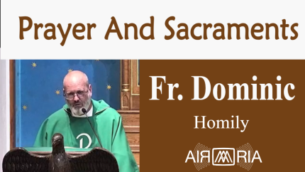 Come To Jesus – Jul 17 – Homily – Fr Dominic